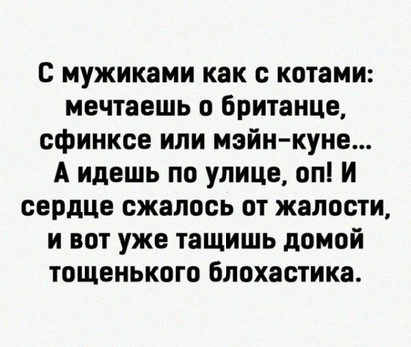 С мужиками как с котами: мечтаешь о британце, сфинкксе или мэйн-куне... А идешь по улице, оп! И сердце сжалось от жалости, и вот уже тащишь домой тощенького блохастика.