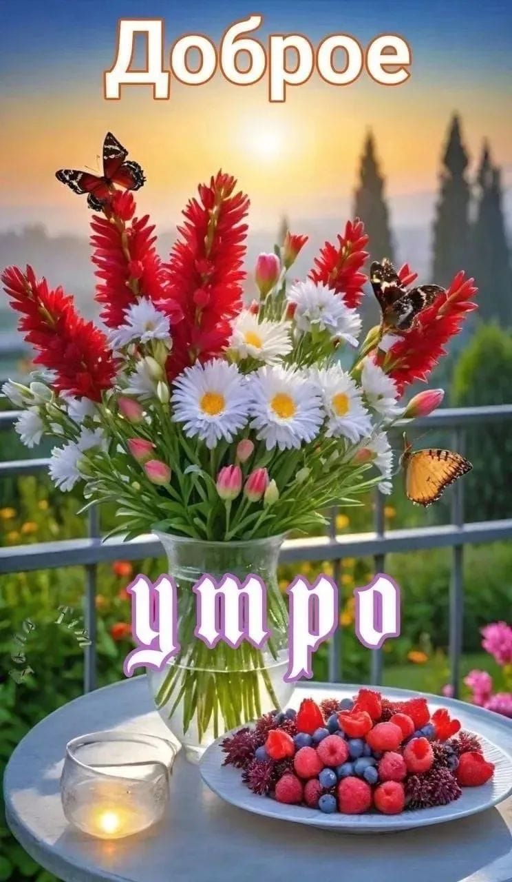 Доброе утро