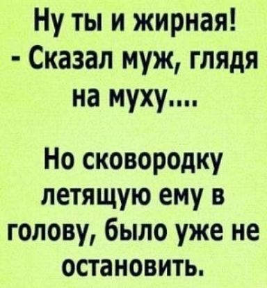 Ну ты и жирная! - Сказал муж, глядя на муху.... Но сковородку летящую ему в голову, было уже не остановить.