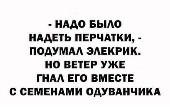 - НАДО БЫЛО НАДЕТЬ ПЕРЧАТКИ, - ПОДУМАЛ ЭЛЕКТРИК. НО ВЕТЕР УЖЕ ГНАЛ ЕГО ВМЕСТЕ С СЕМЕНАМИ ОДУВАНЧИКА