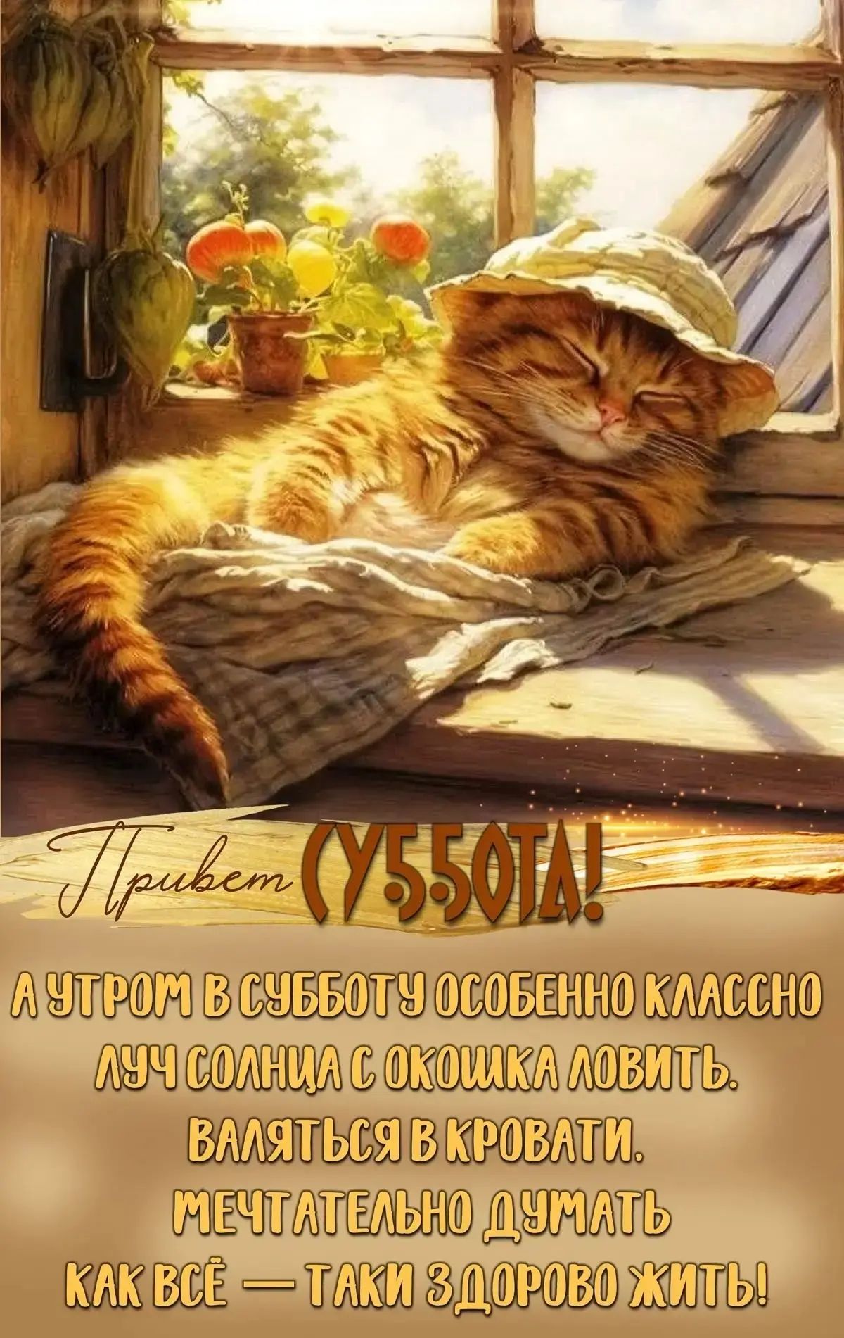 Привет (УЮТ)! А утром в субботу особенно классно луч солнца с окошка ловить. Валяться в кровати. Мечтательно думать как всё — таки здорово жить!