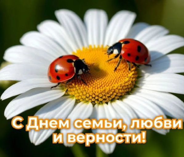 С Днем семьи, любви и верности!