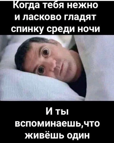 Когда тебя нежно и ласково гладят спинку среди ночи И ты вспоминаешь, что живёшь один