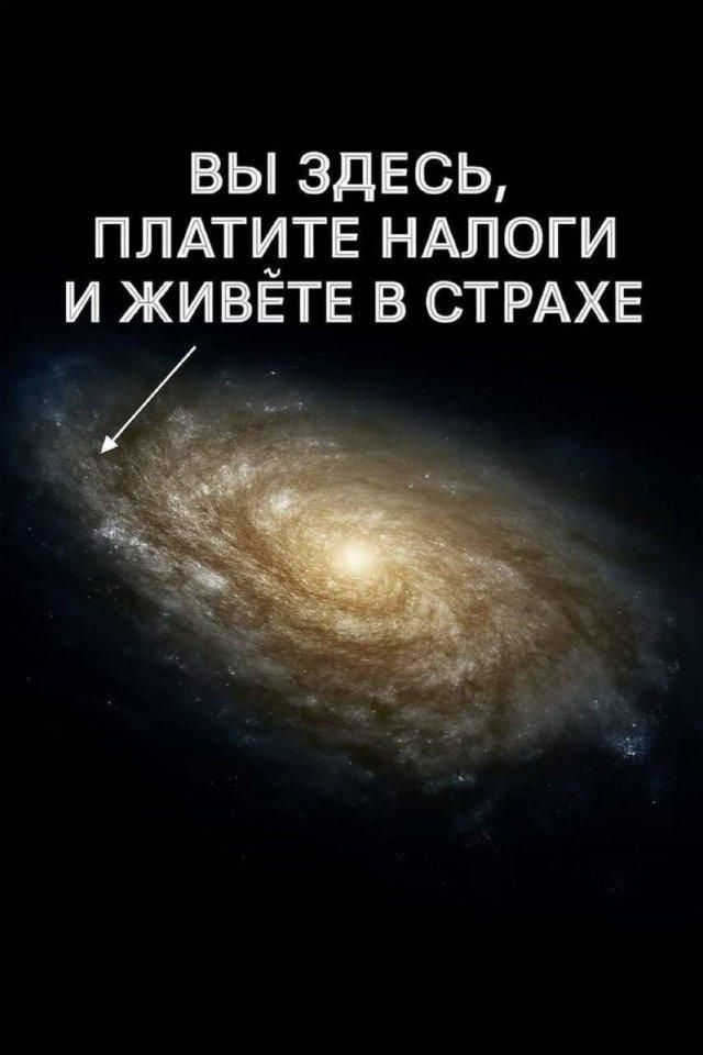 ВЫ ЗДЕСЬ, ПЛАТИТЕ НАЛОГИ И ЖИВЁТЕ В СТРАХЕ