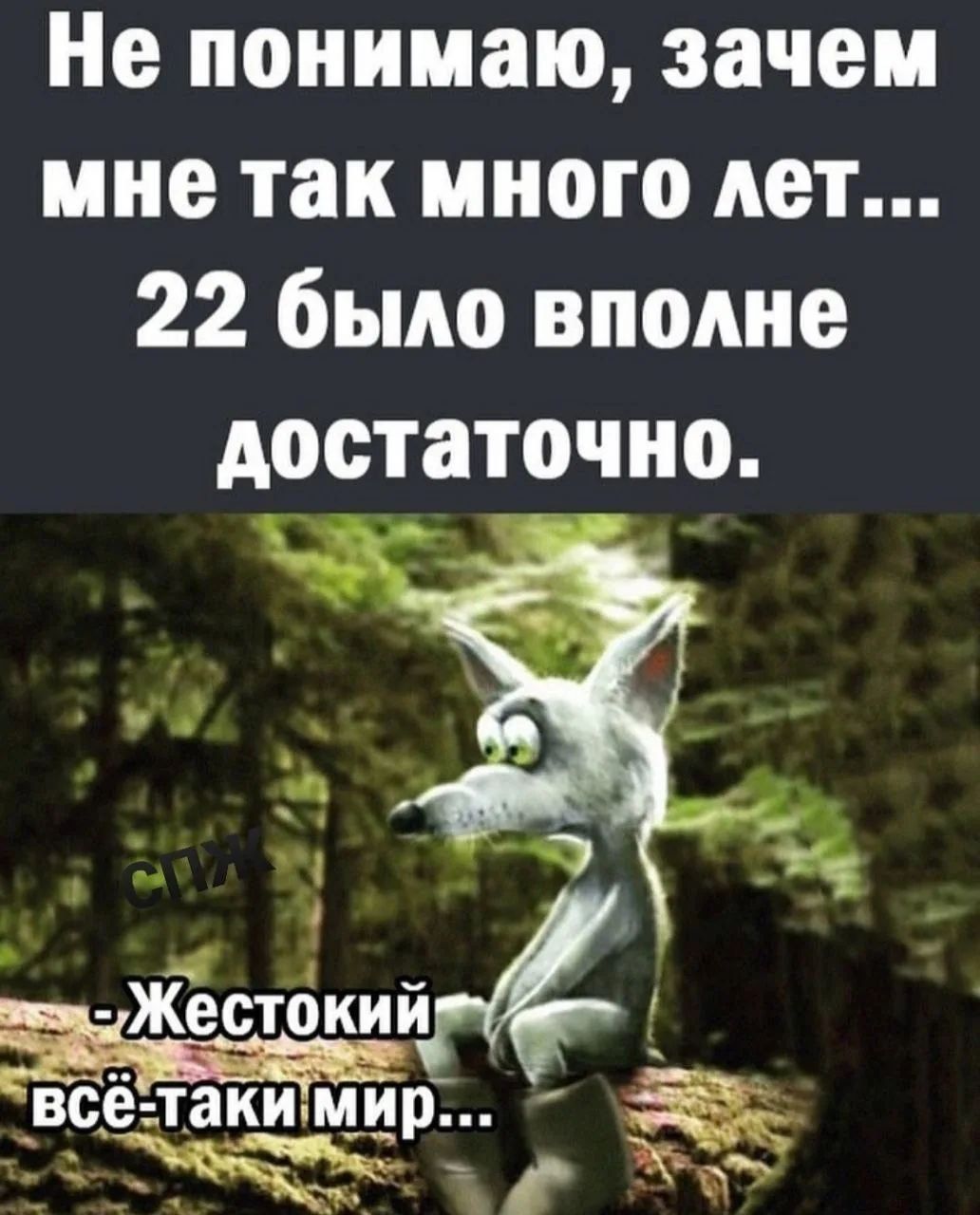 Не понимаю, зачем мне так много лет... 22 было вполне достаточно. СПЖ - Жестокий всё-таки мир...