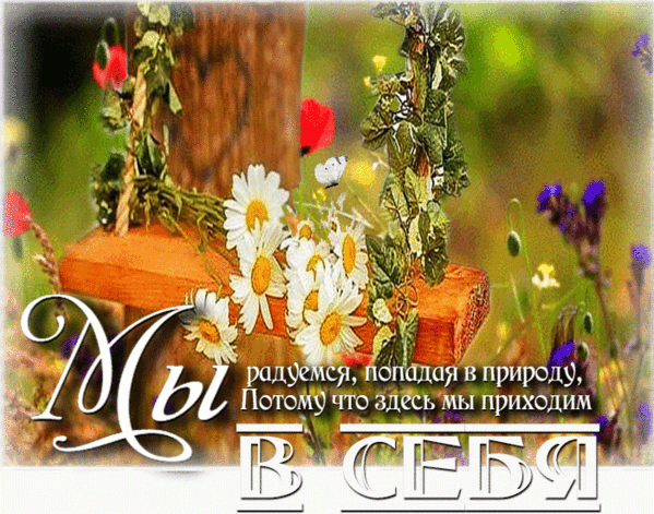 Мы радуемся, попадая в природу, Потому что здесь мы приходим в себя