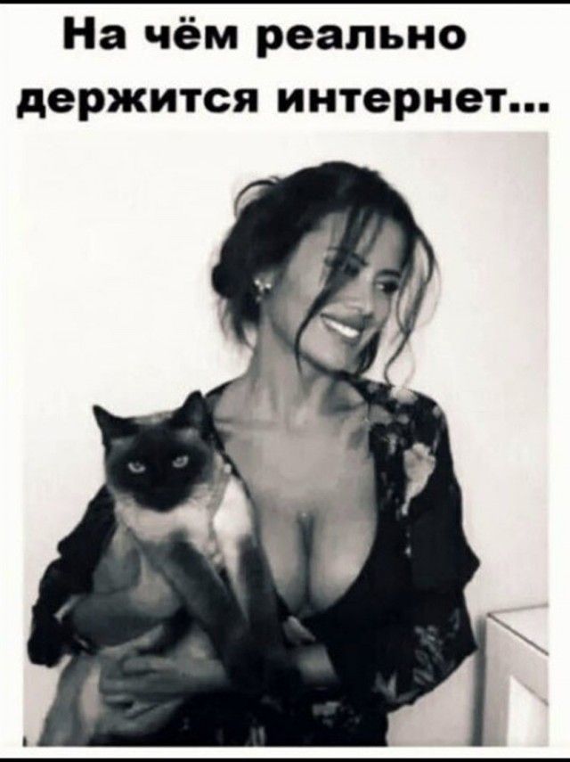 На чём реально держится интернет...