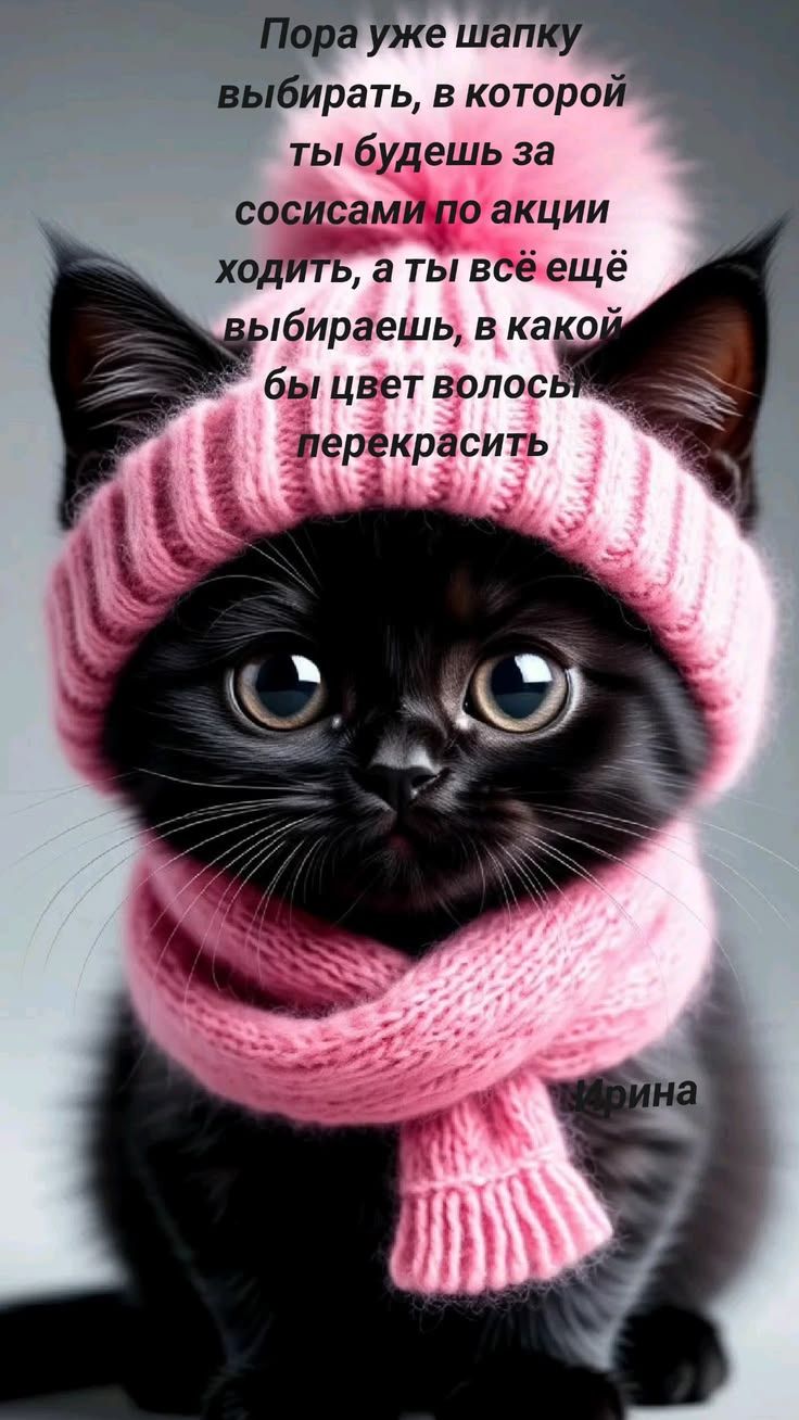 Пора уже шапку выбирать, в которой ты будешь за сосисками по акции ходить, а ты всё ещё выбираешь, в какой бы цвет волосы перекрасить