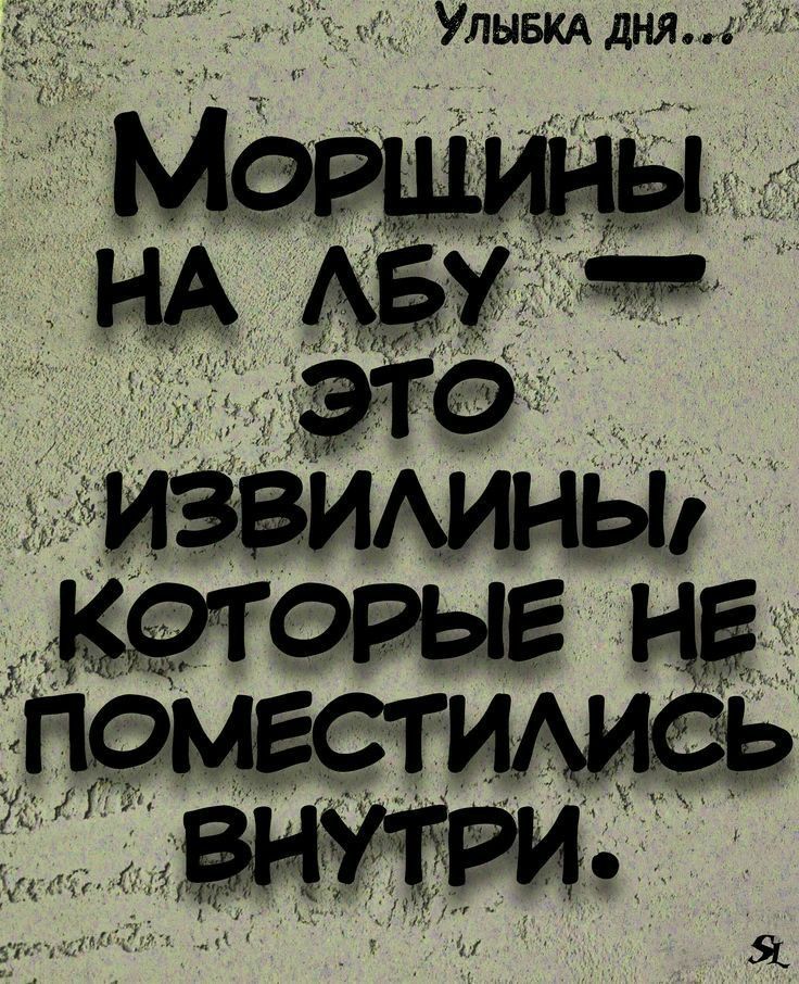 Улыбка дня... Морщины на лбу — это извилины, которые не поместились внутри.