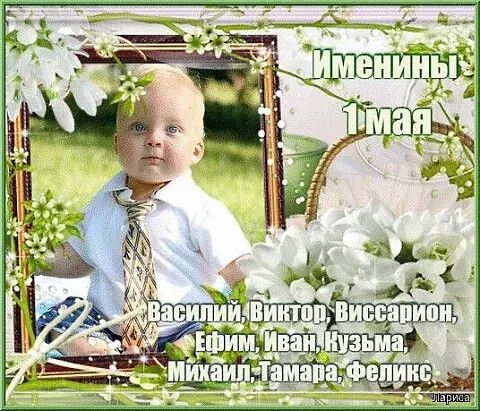 Именины 1 мая Василий, Виктор, Виссарион, Ефим, Иван, Кузьма, Михаил, Тамара, Феликс. Лариса
