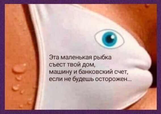 Эта маленькая рыбка съест твой дом, машину и банковский счет, если не будешь осторожен...