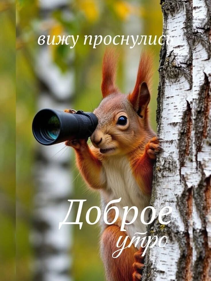 вижу проснулись Доброе утро
