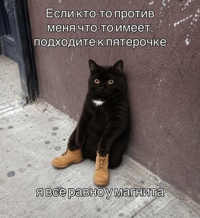 Если кто-то против меня что-то имеет, подходите к пятерочке я все равно у магнита