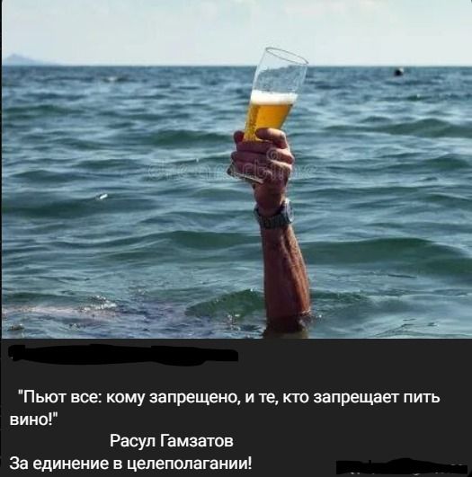 Пьют все: кому запрещено, и те, кто запрещает пить вино! Расул Гамзатов За единение в целеполагании!