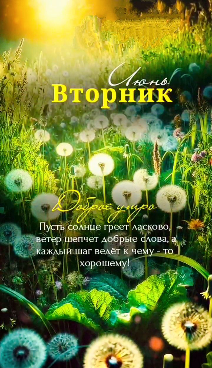 Июнь Вторник Доброе утро Пусть солнце греет ласково, ветер шепчет добрые слова, а каждый шаг ведёт к чему-то хорошему!