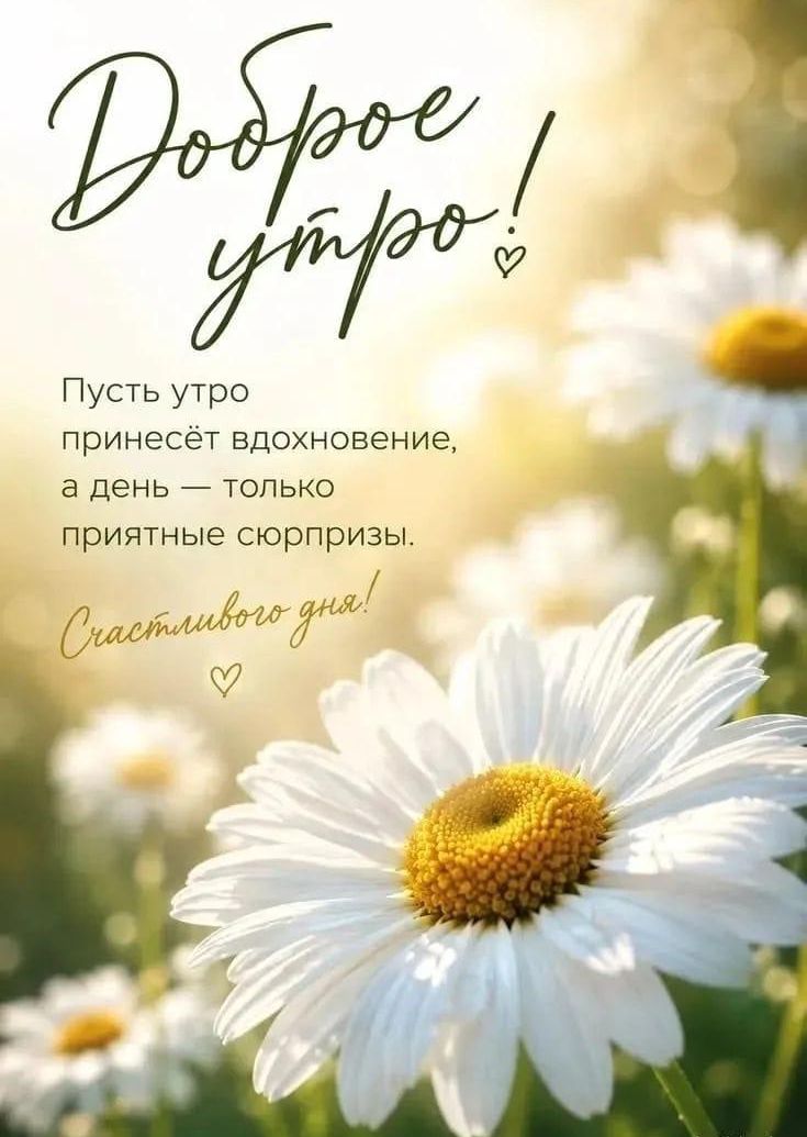 Доброе утро! Пусть утро принесёт вдохновение, а день — только приятные сюрпризы. Счастливого дня!