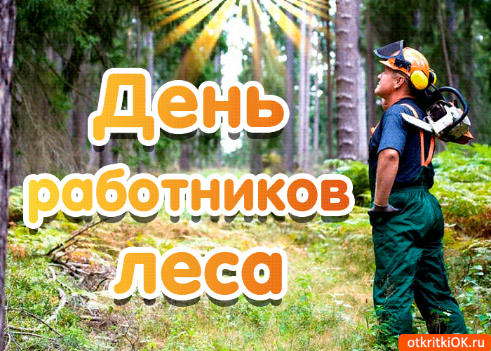 День работников леса