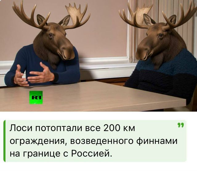 Лоси потоптали все 200 км ограждения, возведенного финнами на границе с Россией.