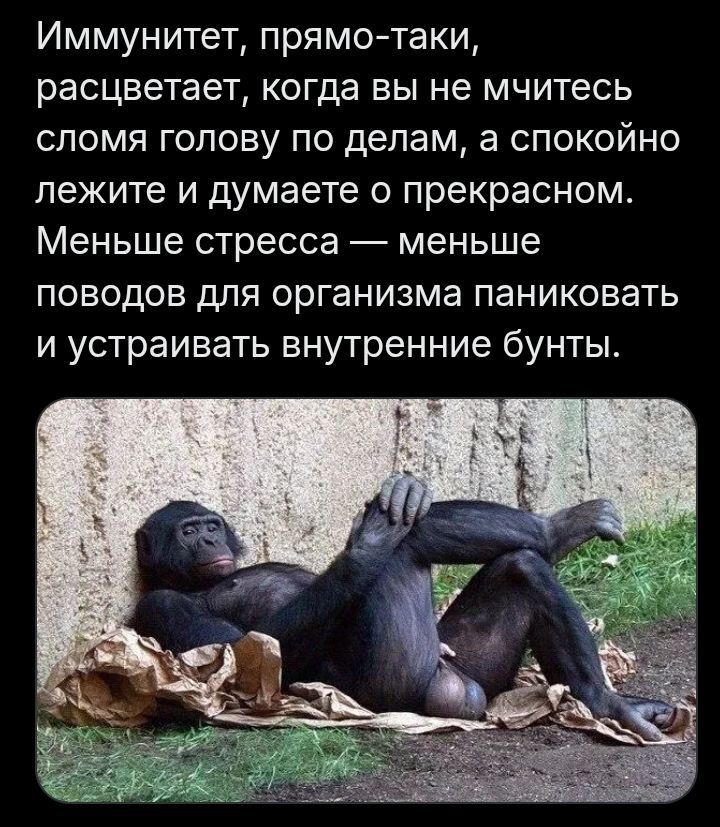 Иммунитет, прямо-таки, расцветает, когда вы не мчитесь сломя голову по делам, а спокойно лежите и думаете о прекрасном. Меньше стресса — меньше поводов для организма паниковать и устраивать внутренние бунты.