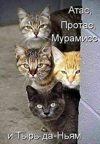 Атас, Протас, Мурамисс и Тырь-да-Ньям