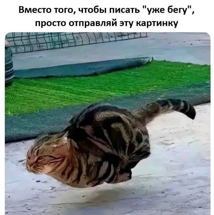 Вместо того, чтобы писать 'уже бегу', просто отправляй эту картинку