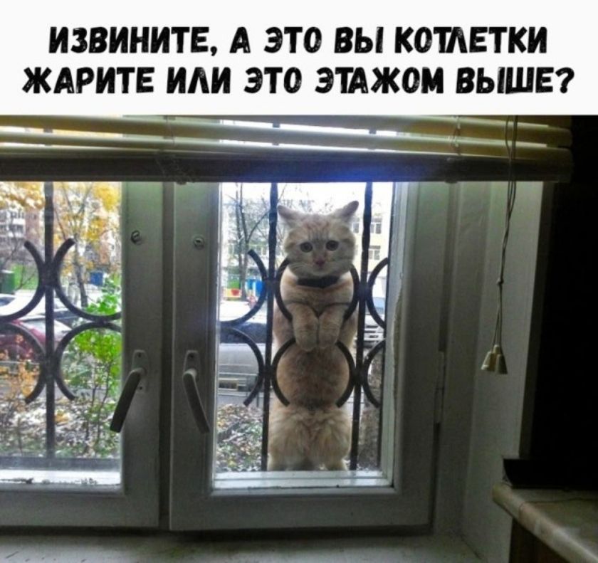 ИЗВИНИТЕ, А ЭТО ВЫ КОТЛЕТКИ ЖАРИТЕ ИЛИ ЭТО ЭТАЖОМ ВЫШЕ?