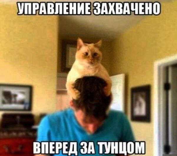 УПРАВЛЕНИЕ ЗАХВАЧЕНО ВПЕРЕД ЗА ТУНЦОМ