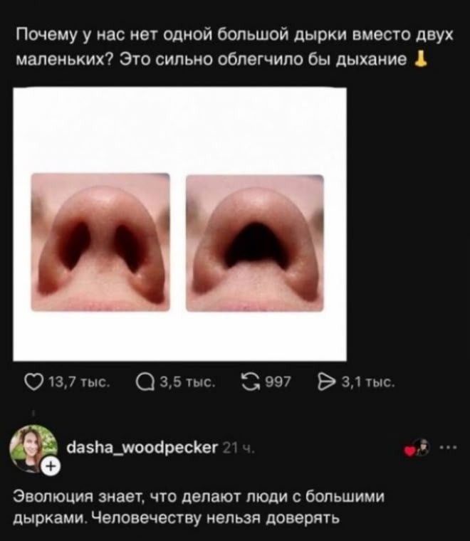 Почему у нас нет одной большой дырки вместо двух маленьких? Это сильно облегчило бы дыхание 👃 Эволюция знает, что делают люди с большими дырками. Человечеству нельзя доверять