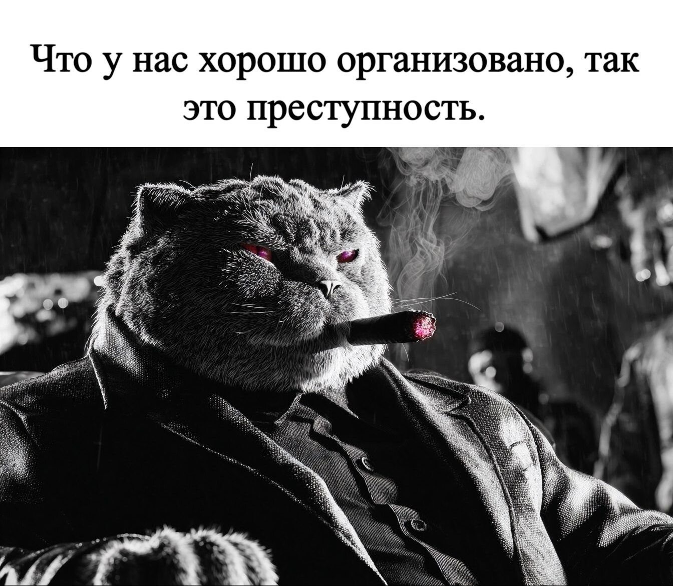 Что у нас хорошо организовано, так это преступность.