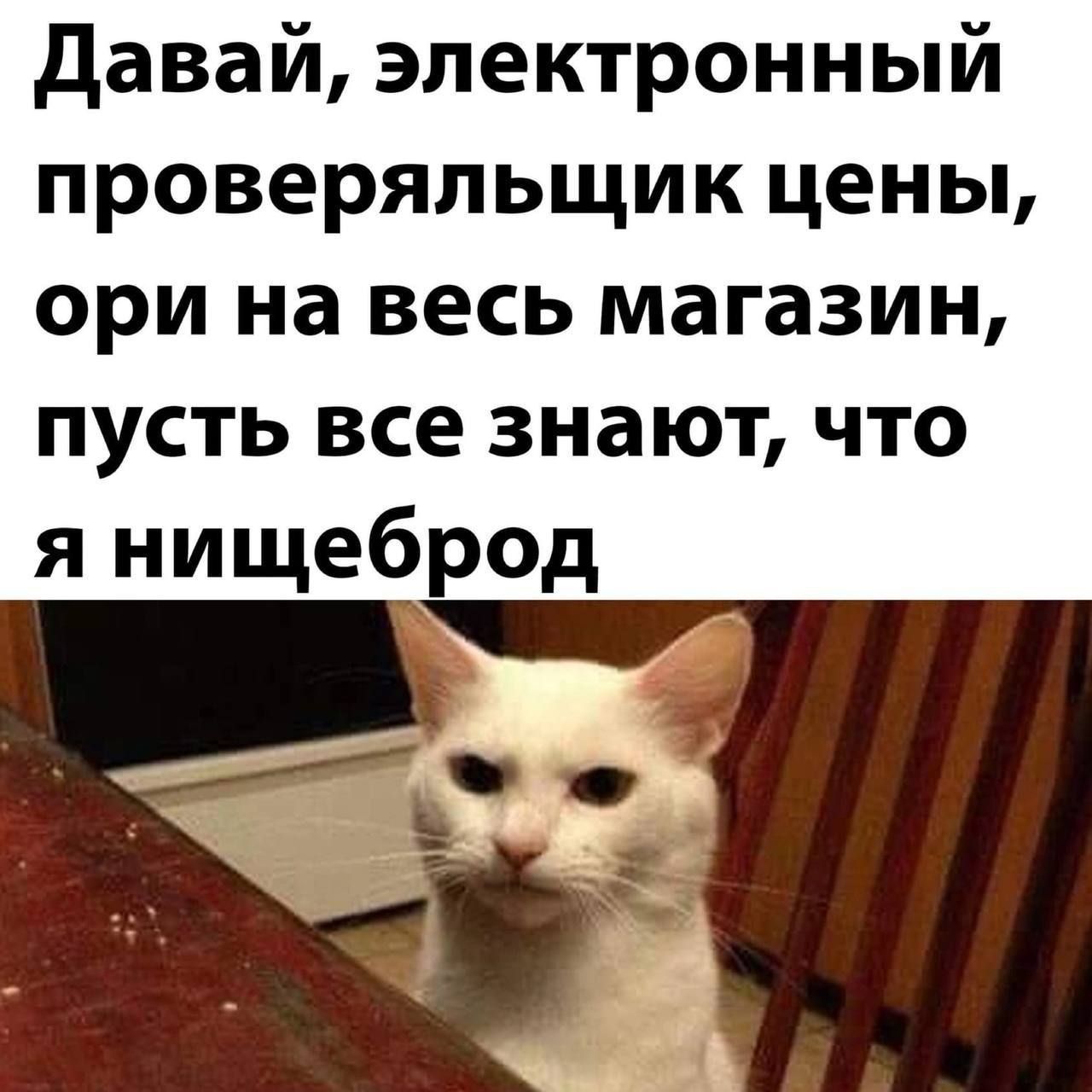 Давай, электронный проверяльщик цены, ори на весь магазин, пусть все знают, что я нищеброд