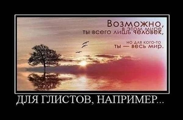Возможно, в этом мире ты всего лишь человек, но для кого-то ты — весь мир. ДЛЯ ГЛИСТОВ, НАПРИМЕР...