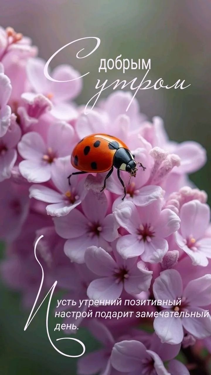 С добрым утром! Пусть утренний позитивный настрой подарит замечательный день.