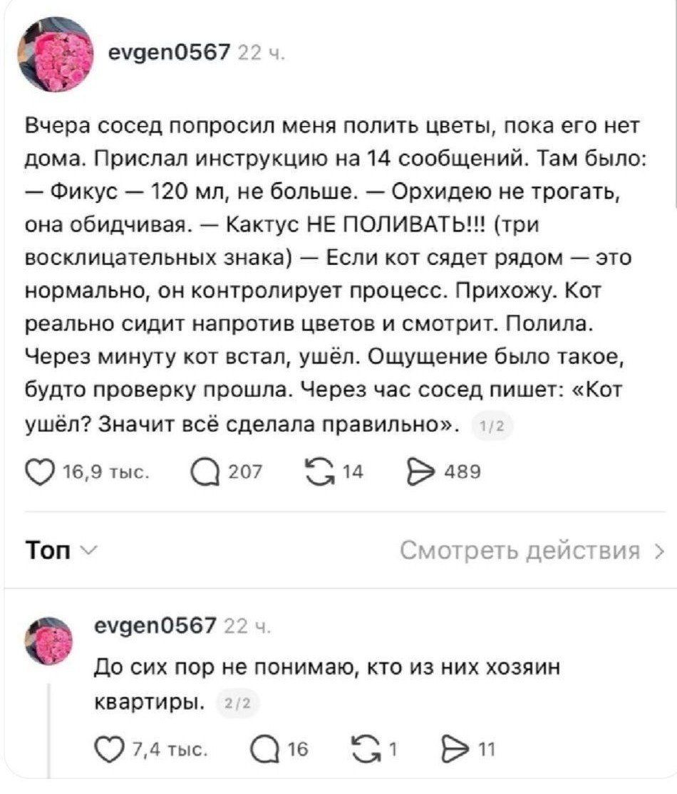 Вчера сосед попросил меня полить цветы, пока его нет дома. Прислал инструкцию на 14 сообщений. Там было: — Фикус — 120 мл, не больше. — Орхидею не трогать, она обидчивая. — Кактус НЕ ПОЛИВАТЬ!!! (три восклицательных знака) — Если кот сядет рядом — это нормально, он контролирует процесс. Прихожу. Кот реально сидит напротив цветов и смотрит. Полила.