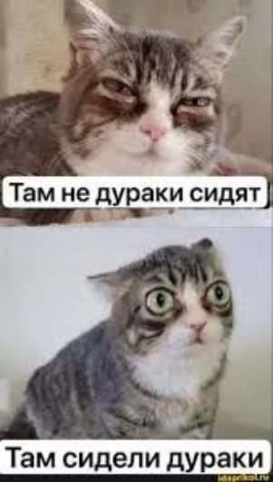 Там не дураки сидят Там сидели дураки