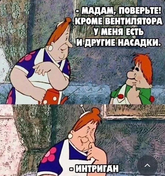 МАДАМ, ПОВЕРЬТЕ! КРОМЕ ВЕНТИЛЯТОРА У МЕНЯ ЕСТЬ И ДРУГИЕ НАСАДКИ. ИНТРИГАН