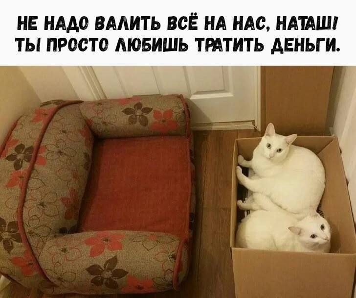 НЕ НАДО ВАЛИТЬ ВСЁ НА НАС, НАТАШ! ТЫ ПРОСТО ЛЮБИШЬ ТРАТИТЬ ДЕНЬГИ.
