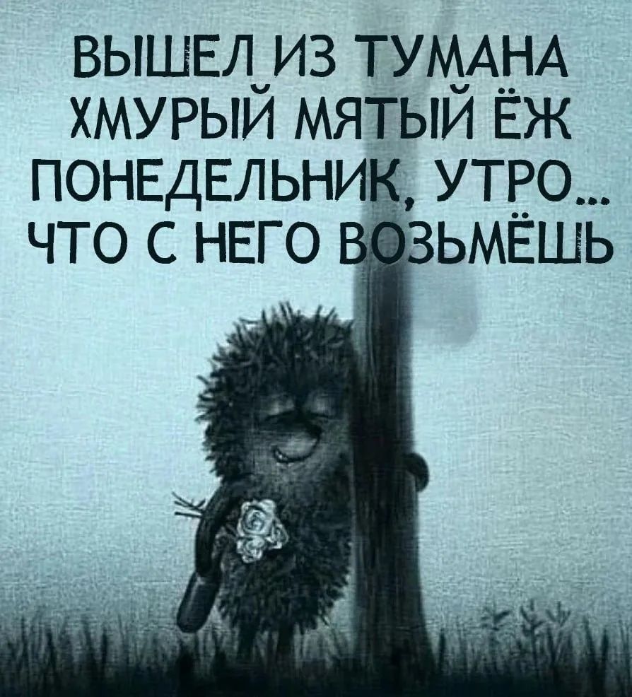 ВЫШЕЛ ИЗ ТУМАНА ХМУРЫЙ МЯТЫЙ ЁЖ ПОНЕДЕЛЬНИК, УТРО... ЧТО С НЕГО ВОЗЬМЁШЬ