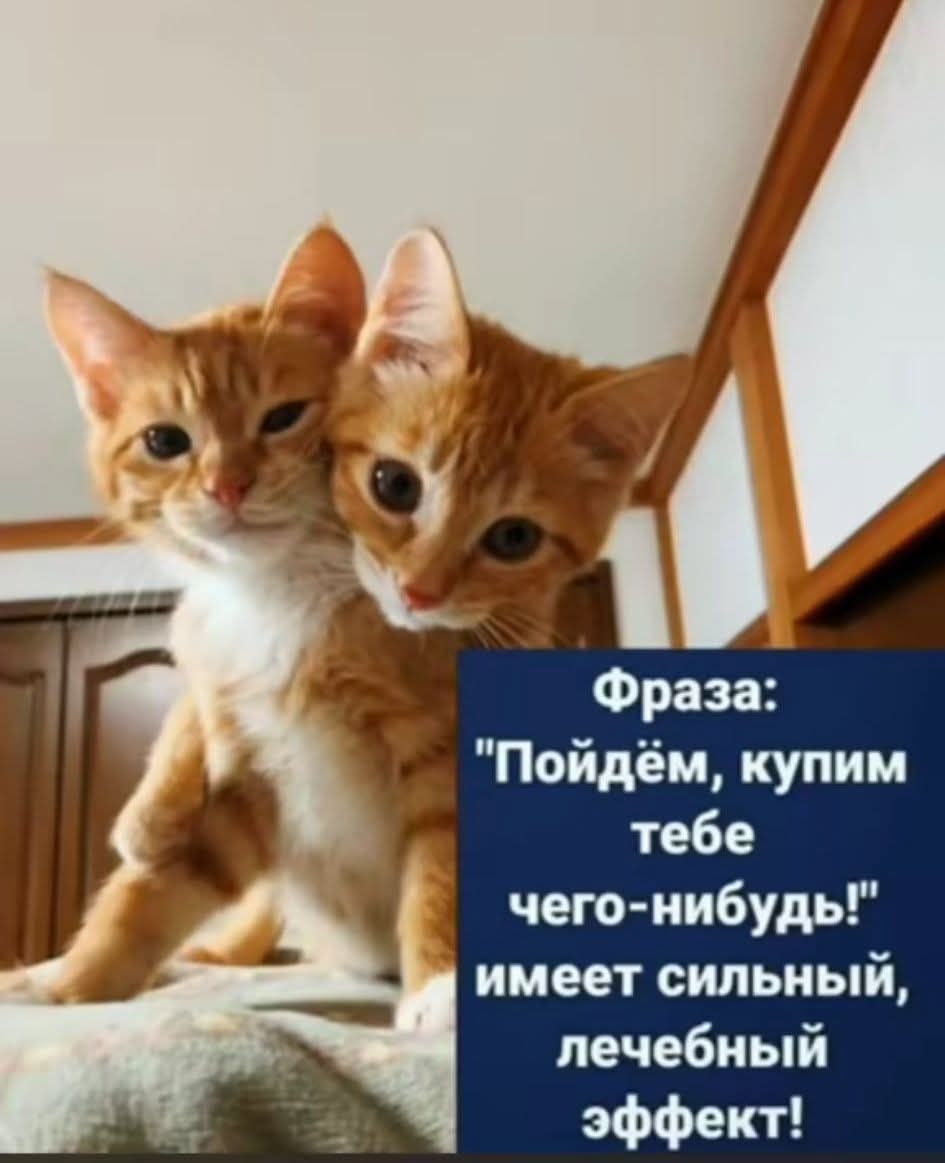 Фраза: 