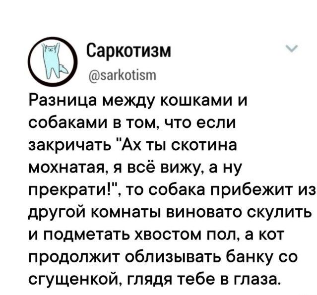 Саркотизм @sarkotism Разница между кошками и собаками в том, что если закричать 