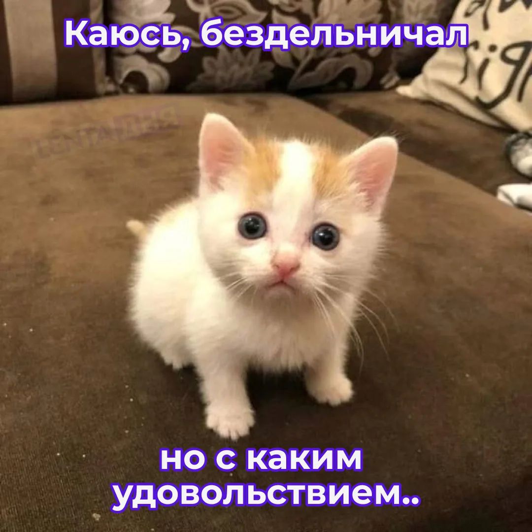 Каюсь, бездельничал но с каким удовольствием..