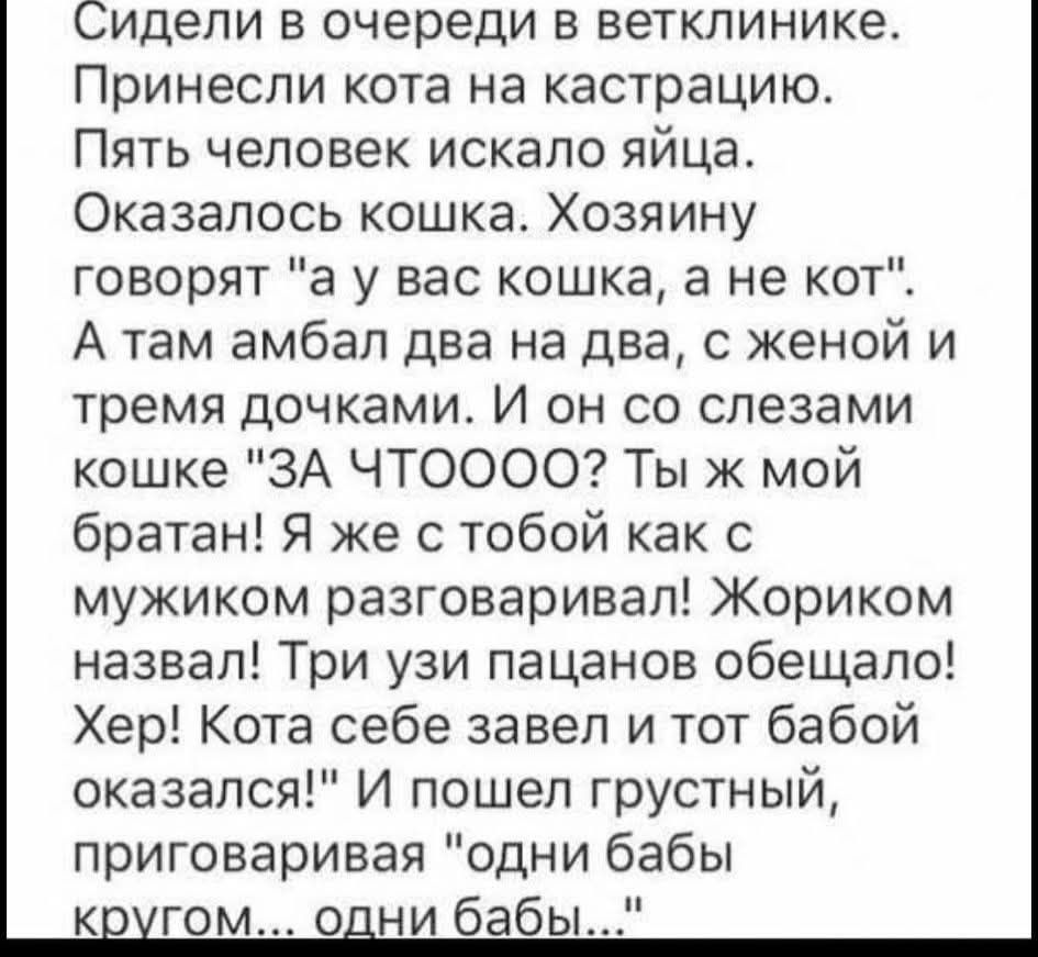 Сидели в очереди в ветклинике. Принесли кота на кастрацию. Пять человек искало яйца. Оказалось кошка. Хозяину говорят 