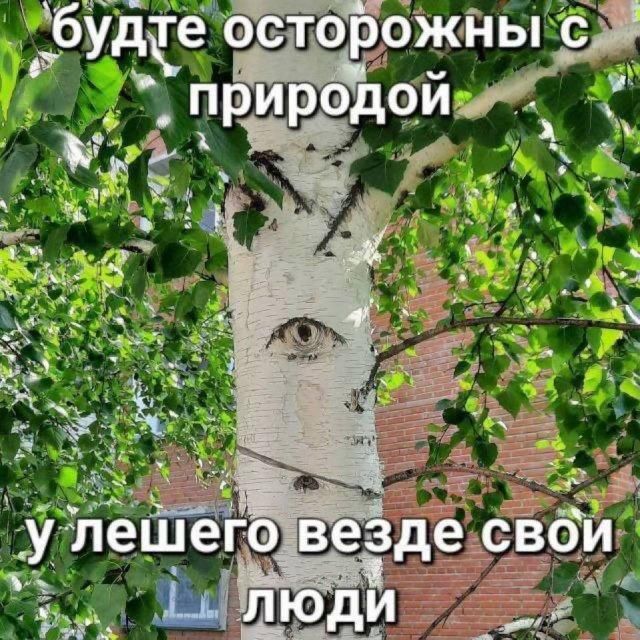 будьте осторожны с природой у лешего везде свои люди