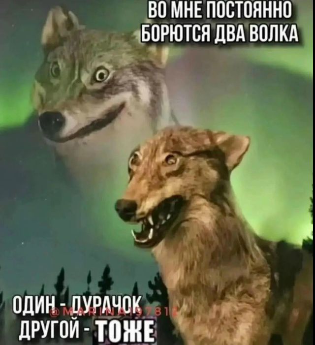 ВО МНЕ ПОСТОЯННО БОРЮТСЯ ДВА ВОЛКА ОДИН - ДУРАЧОК ДРУГОЙ - ТОЖЕ