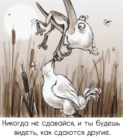Никогда не сдавайся, и ты будешь видеть, как сдаются другие.
