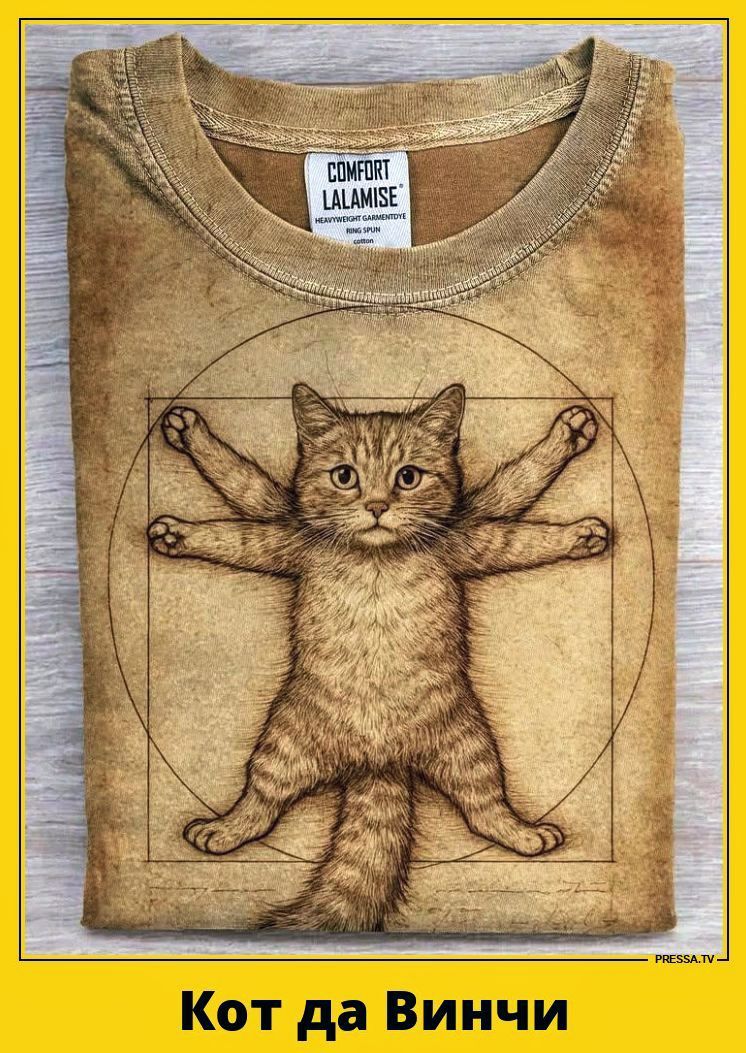 COMFORT LALAMISE HEAVYWEIGHT GARMENTDYE RING SPUN cotton. PRESSA.TV. Кот да Винчи