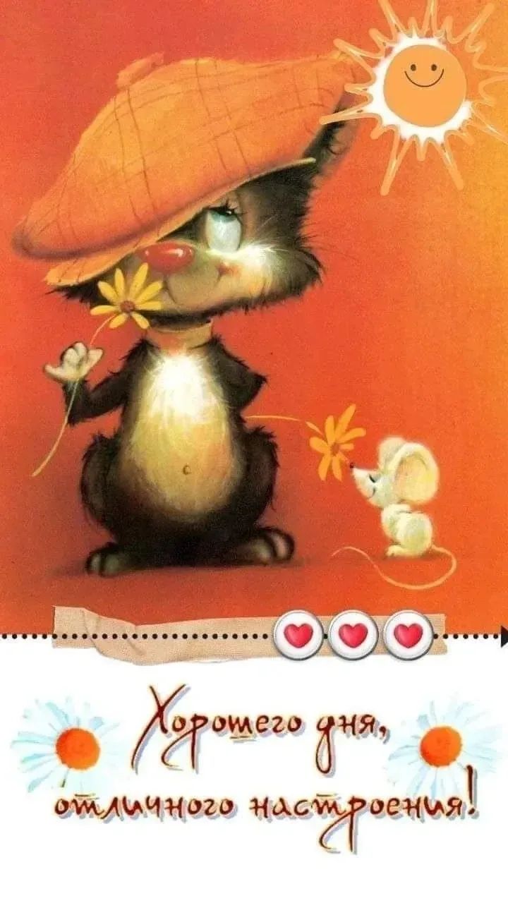 Хорошего дня, отличного настроения!