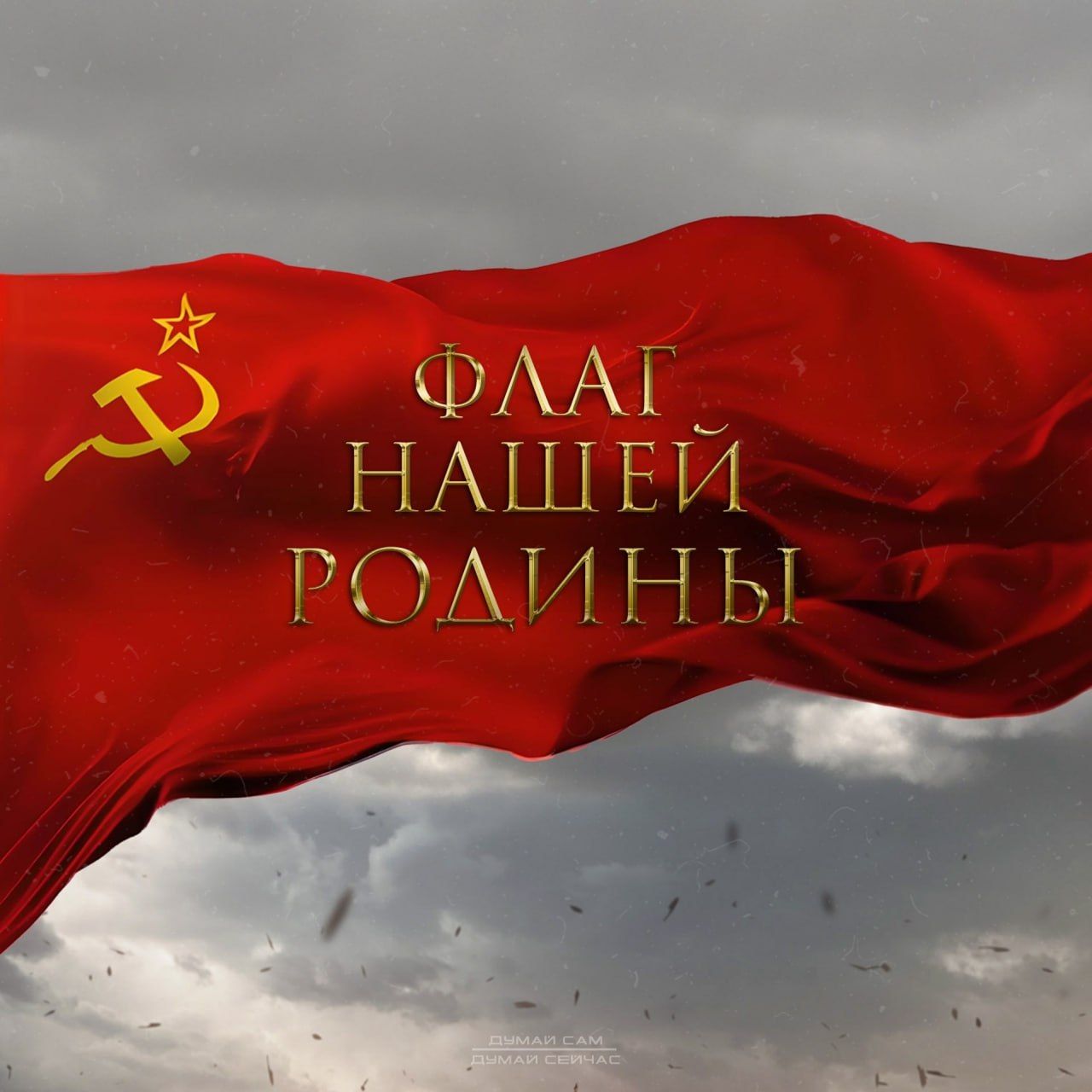 ФЛАГ НАШЕЙ РОДИНЫ. ДУМАЙ САМ ДУМАЙ СЕЙЧАС