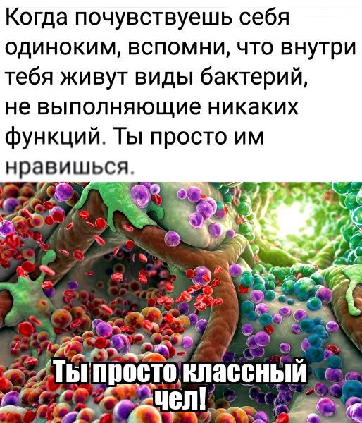 Когда почувствуешь себя одиноким, вспомни, что внутри тебя живут виды бактерий, не выполняющие никаких функций. Ты просто им нравишься. Ты просто классный чел!