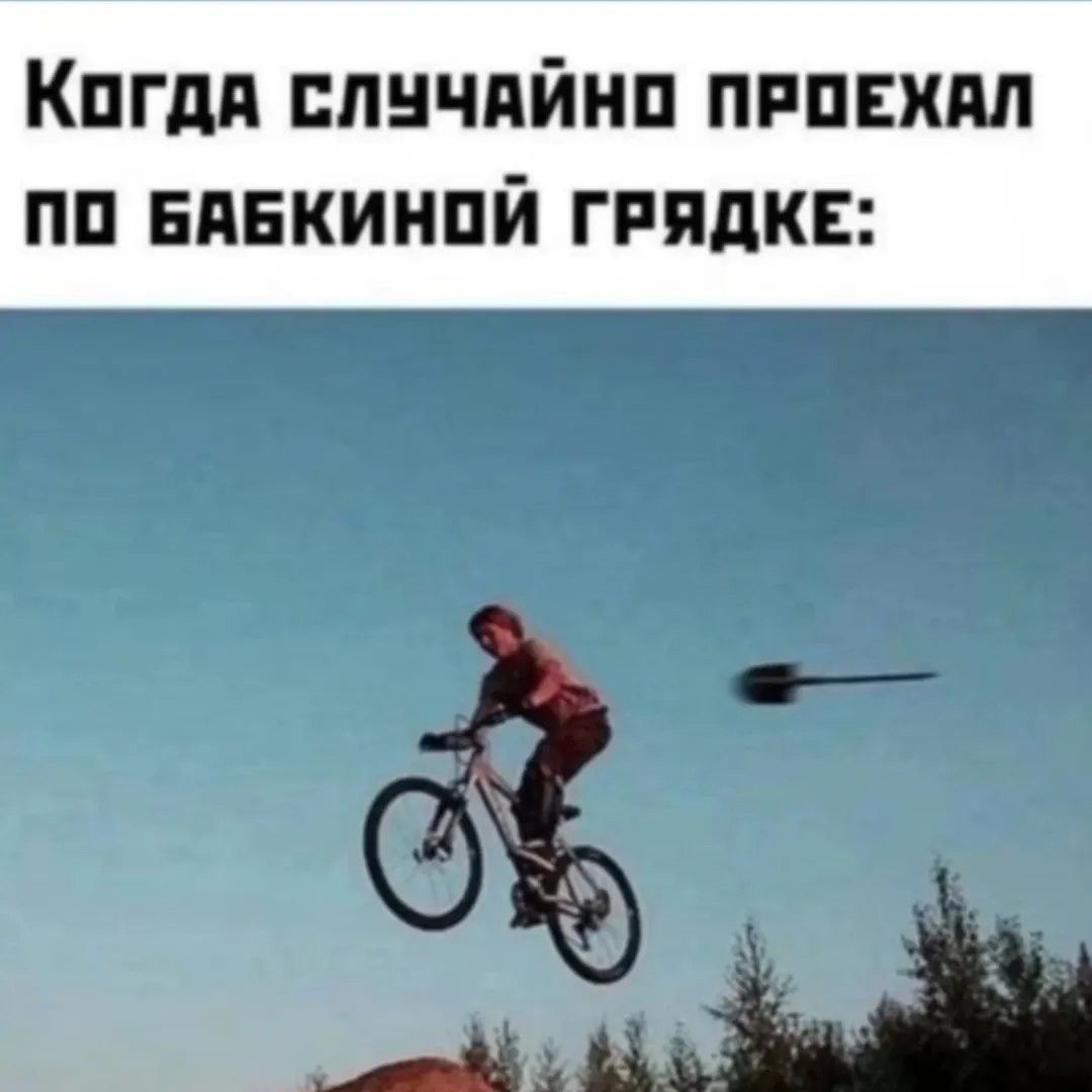Когда случайно проехал по бабкиной грядке: