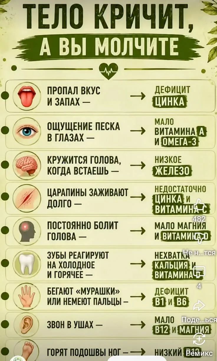 ТЕЛО КРИЧИТ, А ВЫ МОЛЧИТЕ. ПРОПАЛ ВКУС И ЗАПАХ — ДЕФИЦИТ ЦИНКА. ОЩУЩЕНИЕ ПЕСКА В ГЛАЗАХ — МАЛО ВИТАМИНА А И ОМЕГА-3. КРУЖИТСЯ ГОЛОВА, КОГДА ВСТАЕШЬ — НИЗКОЕ ЖЕЛЕЗО. ЦАРАПИНЫ ЗАЖИВАЮТ ДОЛГО — НЕДОСТАТОЧНО ЦИНКА И ВИТАМИНА С. ПОСТОЯННО БОЛИТ ГОЛОВА — МАЛО МАГНИЯ И ВИТАМИНА D. ЗУБЫ РЕАГИРУЮТ НА ХОЛОДНОЕ И ГОРЯЧЕЕ — НЕХВАТКА КАЛЬЦИЯ И ВИТАМИНА D.